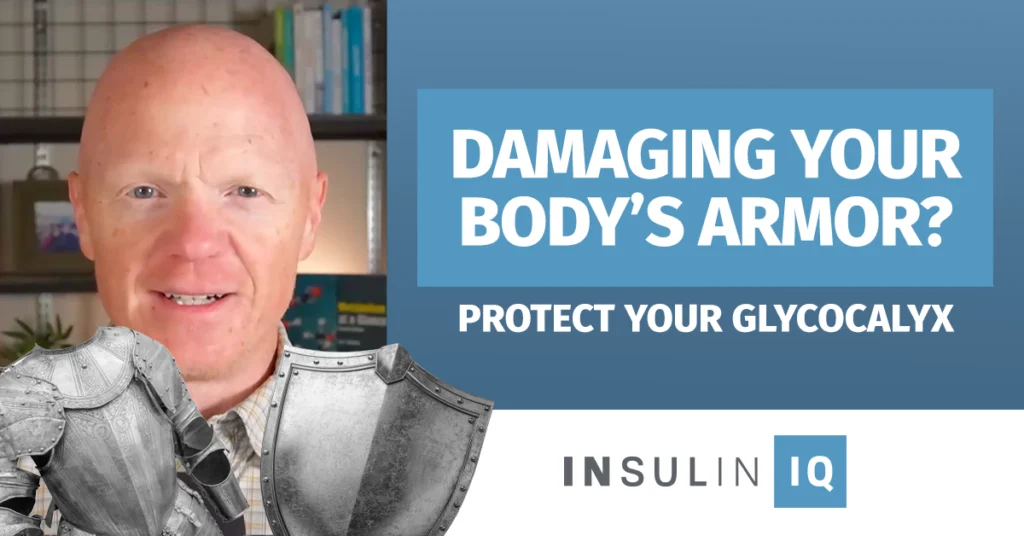 Glycocalyx protecting blood vessels and metabolism